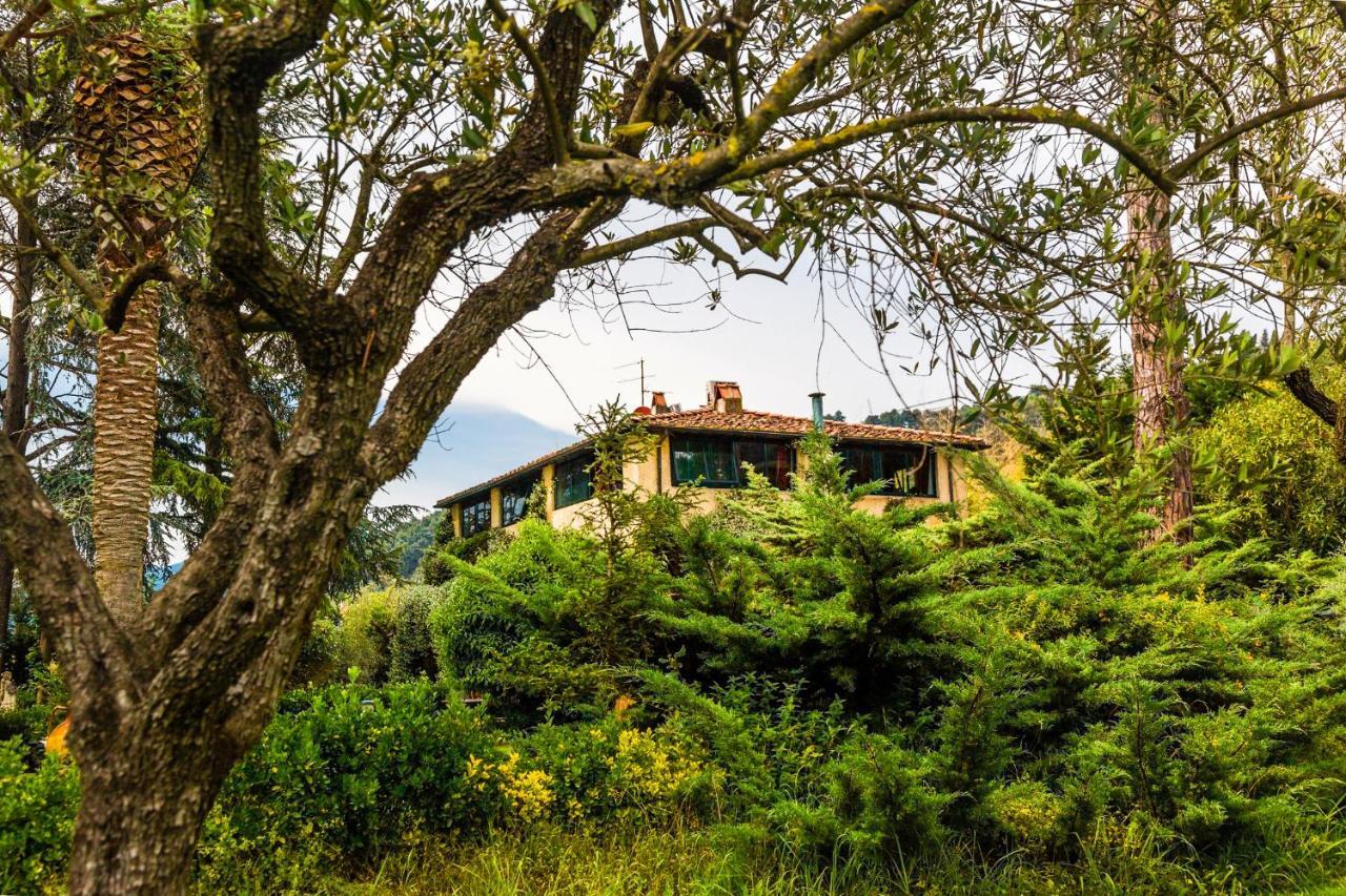Casa Matilde Bed & Breakfast Mommio Exterior photo